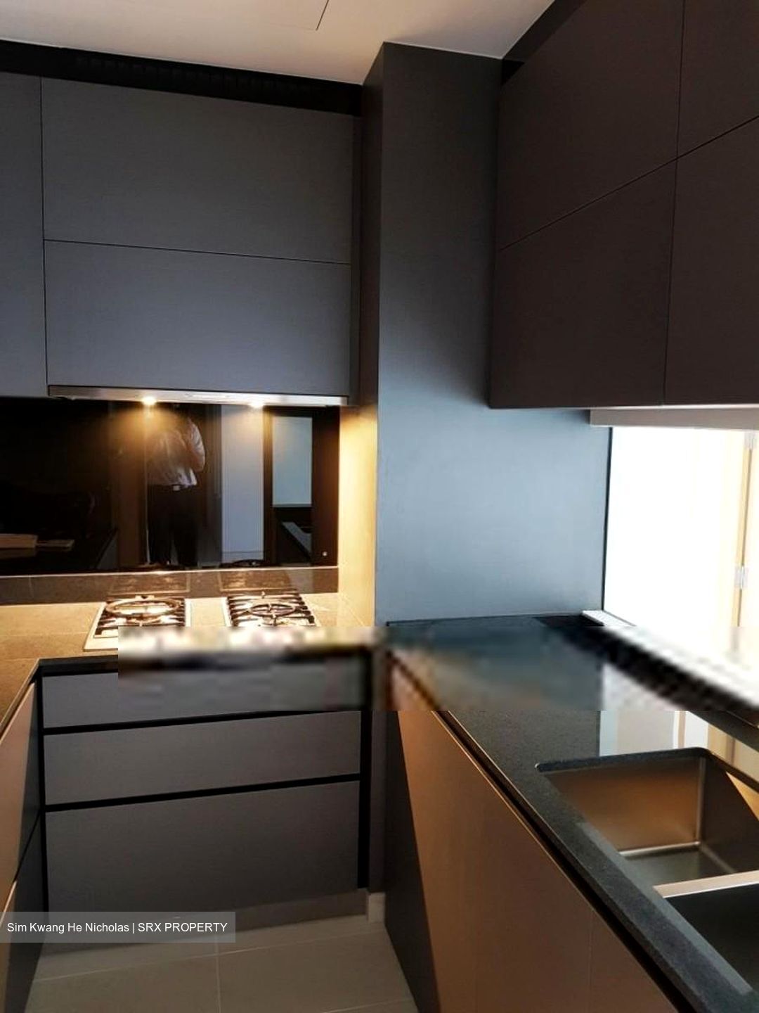 Goodwood Grand (D10), Apartment #496950661